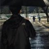 豹へDevil的头像