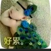 过客的头像