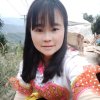 丽丝叶taogenli的头像