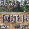 快乐人生的头像