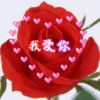 譲爱冬眠的头像