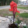 缘的头像