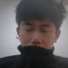提拉米苏'的头像