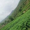 只爱你的头像