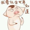 爱的起点的头像