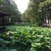 艳的头像