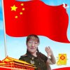 鱼儿慢慢游的头像