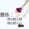 无泪的头像