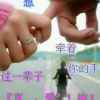 燕 子的头像