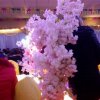 李彩华的头像