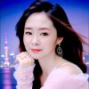 白鴿的头像