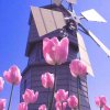 默默无闻的头像