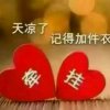 海鸥的头像