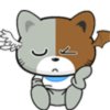 命运的头像