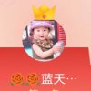 蓝天绿叶的头像
