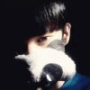 无泪的头像