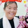 蝶恋花的头像