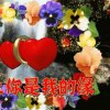 万紫千红（暂离）的头像