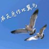 潞易的头像