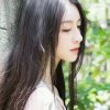 小珍的头像