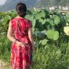 紫楠木似水张杰拒加微信的头像