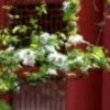 走天涯的头像