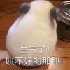 ？？？的头像