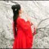 晚宝女神的头像