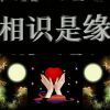 再度重相逢的头像