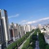 浅若的头像
