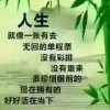 珍缘人生路的头像