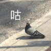 相见欢_墨翎鸽的头像