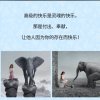 @_@的头像