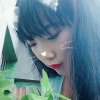 风(๑> <๑）少的头像