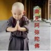 南无阿弥陀佛的头像