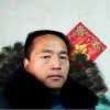 西北狼的头像