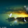 曾经的我们的头像