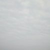 缘来缘去的头像