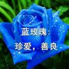 文睿轩的头像