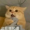晗.的头像