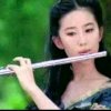 凤尾竹的头像