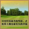 蒋学英的头像