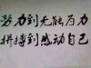 双春水产的头像