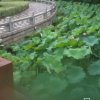 情缘的头像