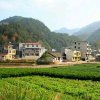 低调《停》的头像