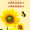云淡风轻小号的头像
