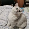 慧子的头像