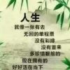 冷漠非冷的头像