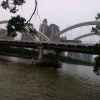 广州桥的头像