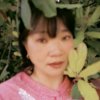 如果的头像